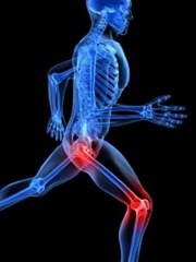 joint-health-beau-basinger-surf-and-turf-fitness-health-and-freedom joint-health-beau-basinger-surf-and-turf-fitness-health-and-freedom