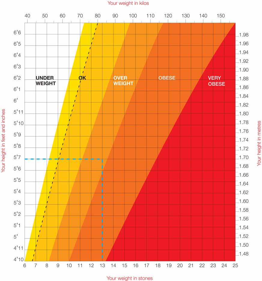 Bmi Chart 2014