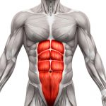 Core-Muscles